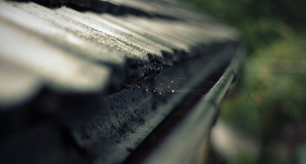 Garneau gutter cleaning