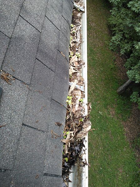 clean gutter camrose