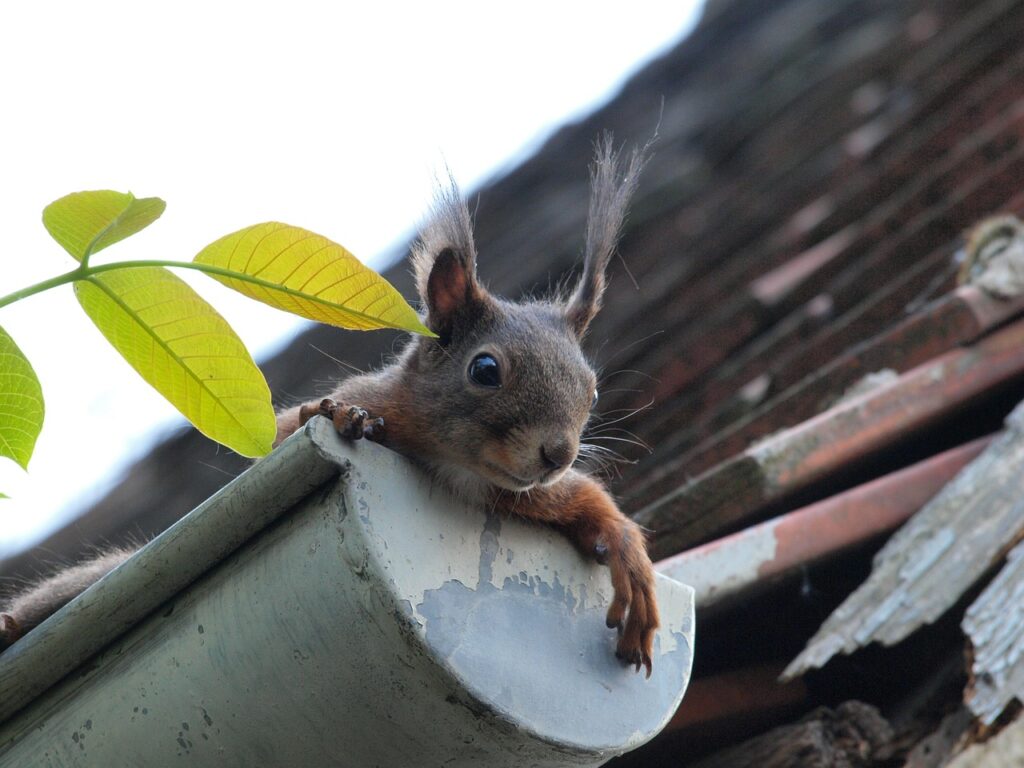 repair gutters in red deer alberta