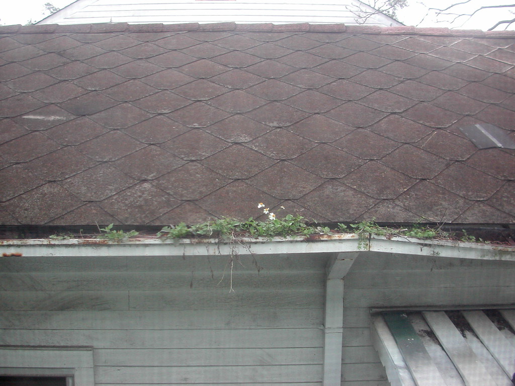 gutter repair Leduc